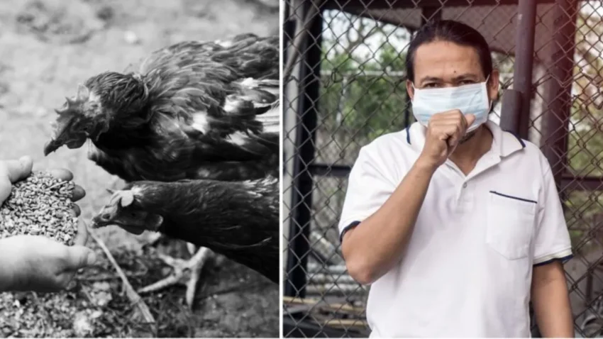 Melindungi Kesehatan dari Ancaman Flu Burung